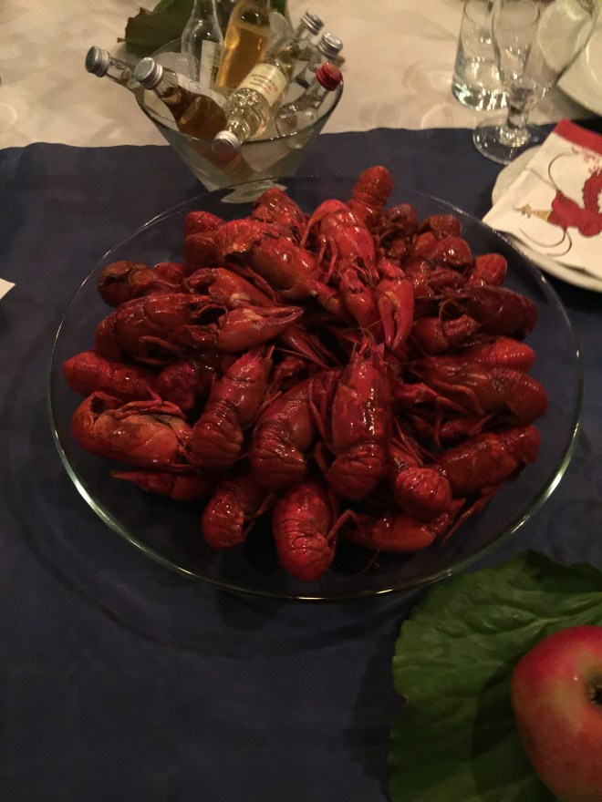 20150925_173619183_iOS